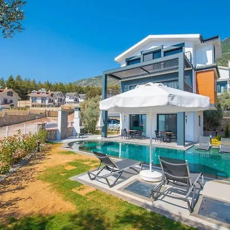Efe Villa *